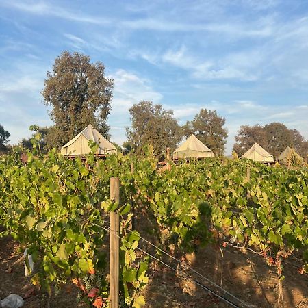 Lago Valle Wine Glamping Valle de Guadalupe Extérieur photo
