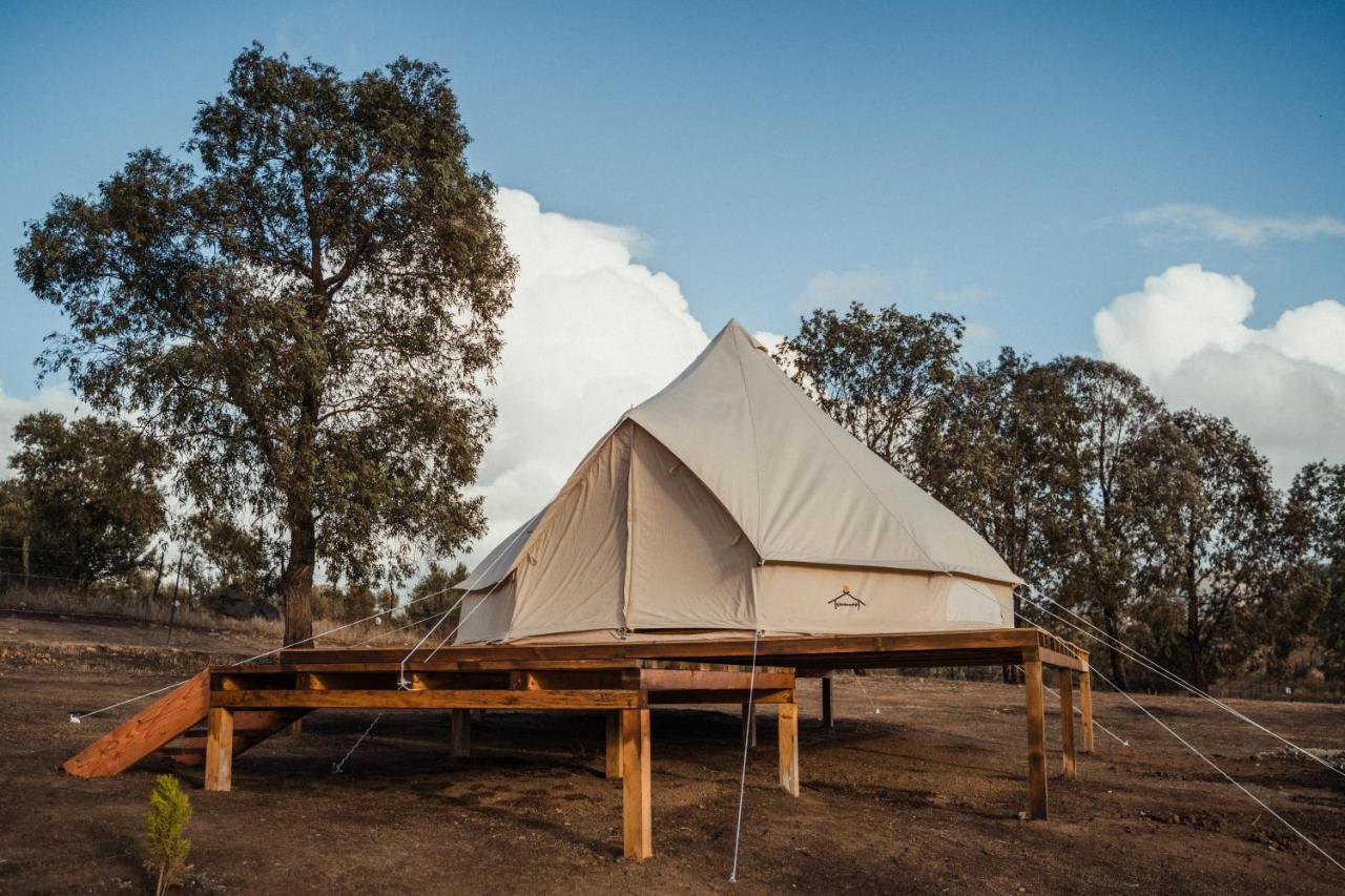 Lago Valle Wine Glamping Valle de Guadalupe Extérieur photo