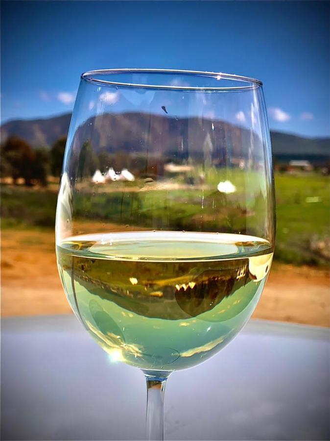 Lago Valle Wine Glamping Valle de Guadalupe Extérieur photo