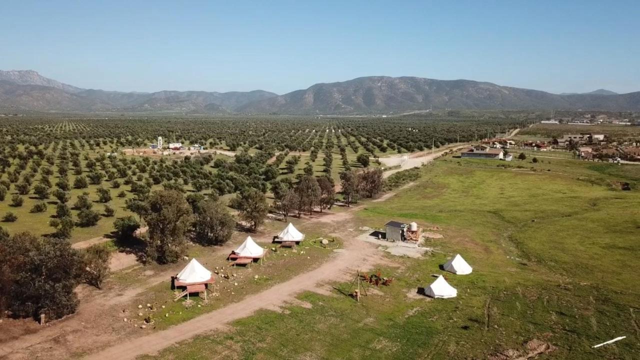 Lago Valle Wine Glamping Valle de Guadalupe Extérieur photo