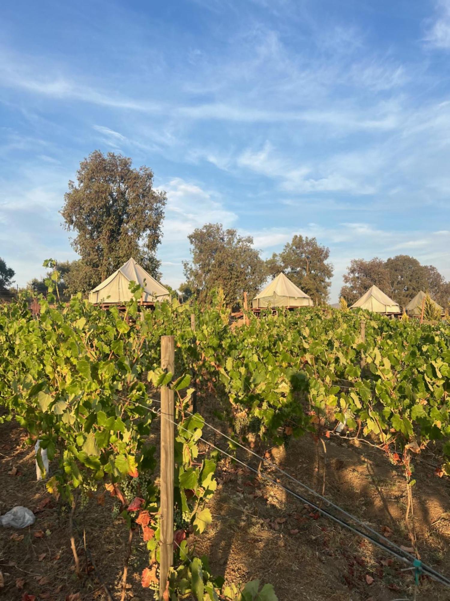 Lago Valle Wine Glamping Valle de Guadalupe Extérieur photo